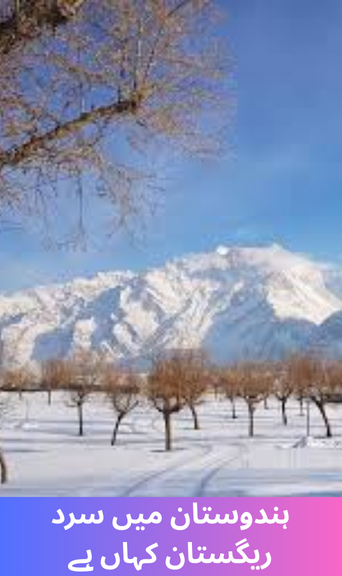 Where is the cold desert in India that young people are so fascinated by?